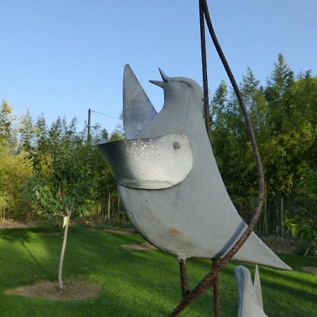 Clermont-lʼHérault La Genestiere B&B 외부 사진
