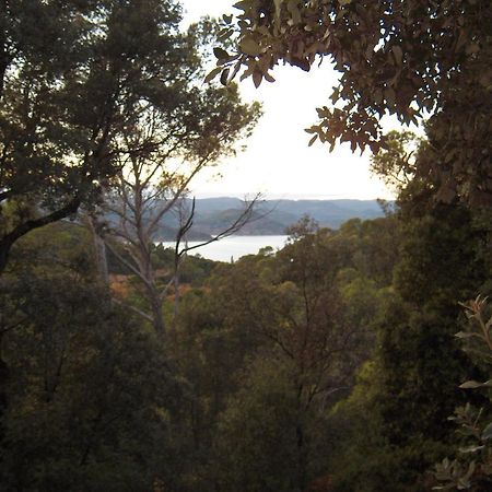 Clermont-lʼHérault La Genestiere B&B 외부 사진